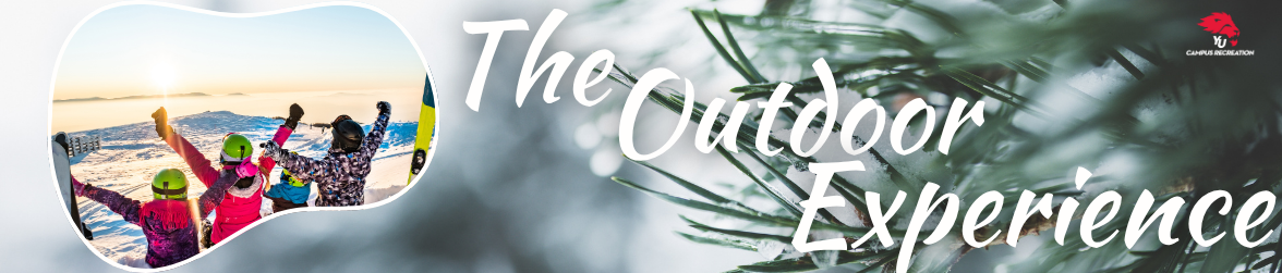 York University Advertisement