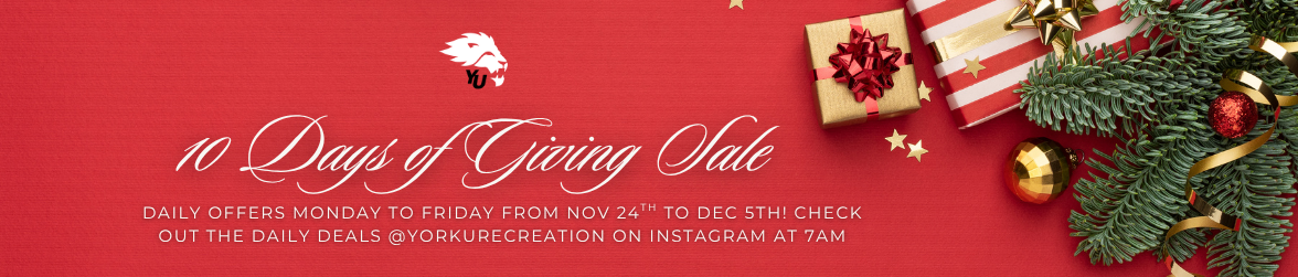 York University Advertisement