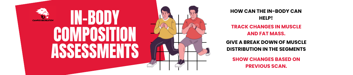 York University Advertisement