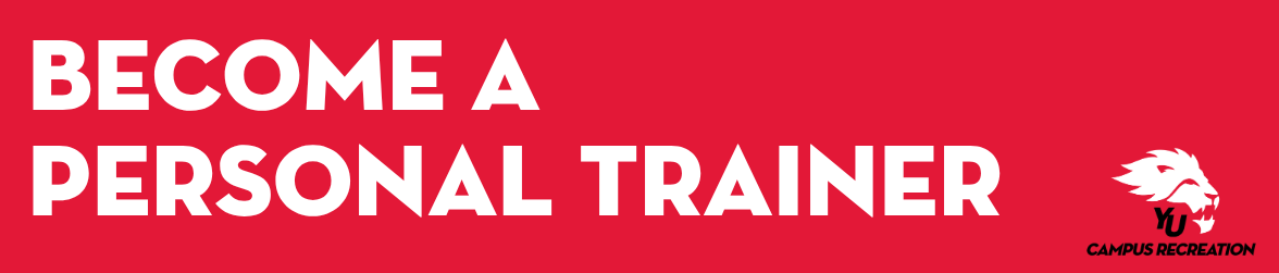 York University Advertisement